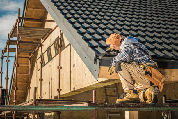 Best Skylight Installation and Repair  in Soldotna, AK